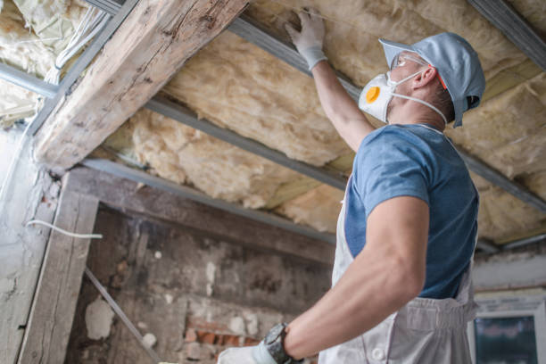 Types of Insulation We Offer in Aledo, TX