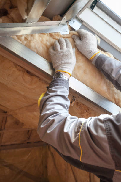 Best Eco-Friendly Insulation in Aledo, TX